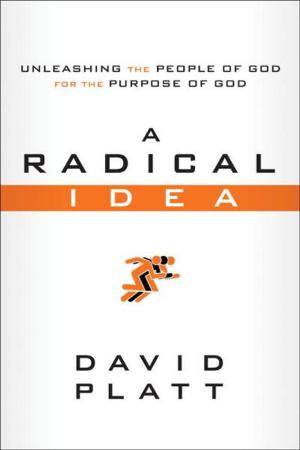 Cover of the book A Radical Idea by Robert Jeffress