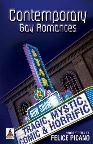Cover of the book Contemporary Gay Romances by Rachel Spangler