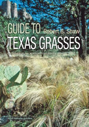 Book cover of Guide to Texas Grasses