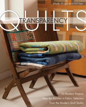 Cover of the book Transparency Quilts by Judy Gauthier