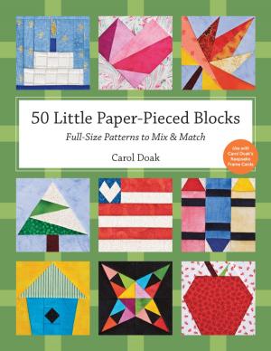 Cover of the book 50 Little Paper- Pieced Blocks by Judy Gauthier