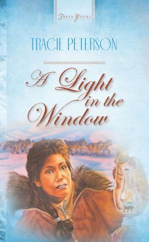 Book cover of A Light in the Window