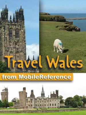 Book cover of Travel Wales, UK: Illustrated Guide & Maps. Incl. Cardiff, Swansea, Aberaeron & more. (Mobi Travel)