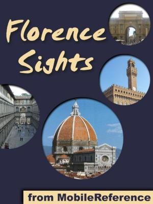 Book cover of Florence Sights: a travel guide to the top 50 attractions in Florence, Italy (Mobi Sights)