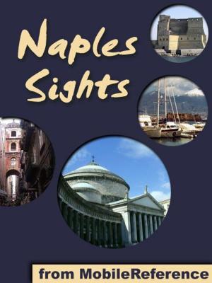 Cover of the book Naples Sights: a travel guide to the top 25 attractions in Naples, Italy (Mobi Sights) by MobileReference