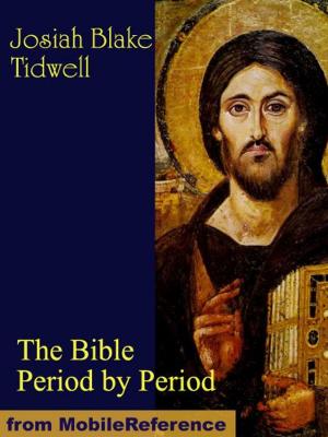 bigCover of the book The Bible Period by Period: A Manual for the Study of the Bible by Periods (Mobi Classics) by 