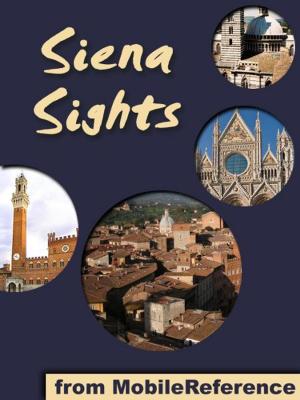 bigCover of the book Siena Sights: a travel guide to the top 20 attractions in Siena, Tuscany, Italy (Mobi Sights) by 
