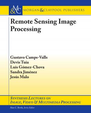Cover of the book Remote Sensing Image Processing by Jian Liu, Jiubin Tan