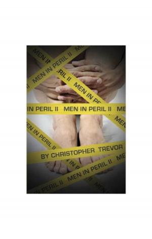 Cover of Men in Peril II