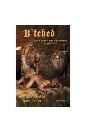 Book cover of B'tched Men