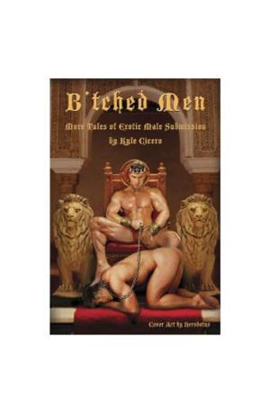 Book cover of B'tched Men 2
