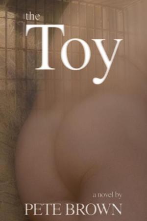 Cover of the book The Toy by Hardy Haberman