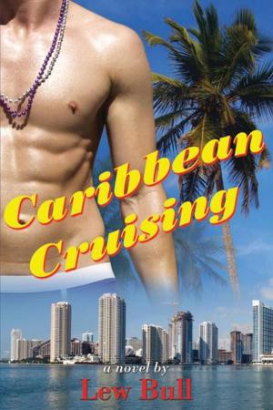 Book cover of Caribbean Cruising