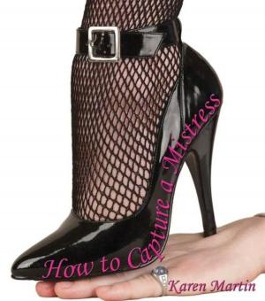 Cover of How to Capture a Mistress