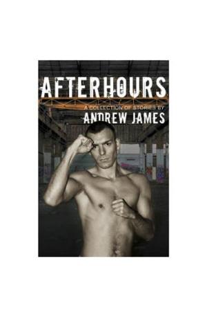 Cover of the book Afterhours by Tim Desmondes