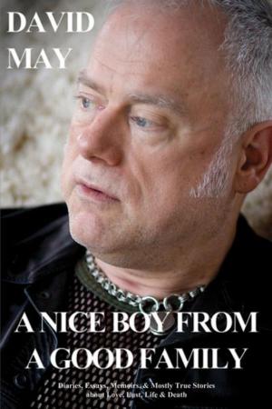 bigCover of the book A Nice Boy from a Good Family by 