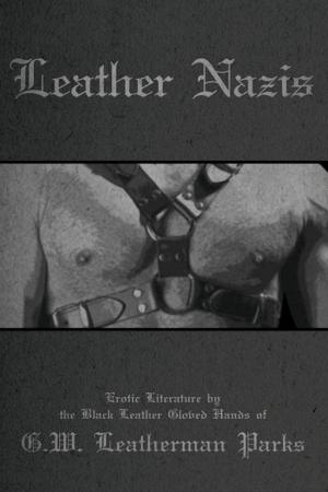 Cover of the book Leather Nazis by Christopher Trevor