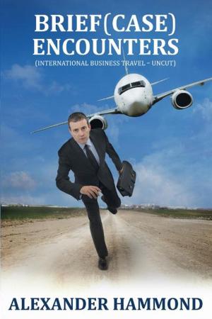 Cover of the book Brief (case) Encounters: International Business Travel - uncut by Lizzie Vega