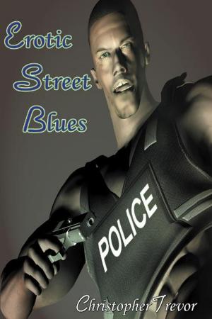 Cover of the book Erotic Street Blues by Kyle Cicero
