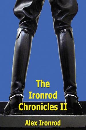 Book cover of Ironrod Chronicles II