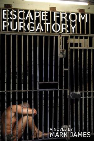 Cover of the book Escape From Purgatory by Brigid Collins