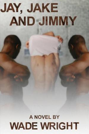 Cover of the book Jay, Jake and Jimmy by Wade Wright