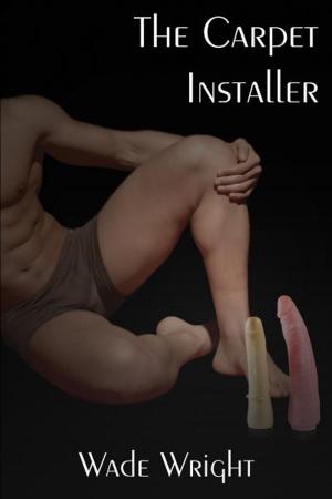 Book cover of The Carpet Installer