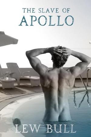 Book cover of The Slave of Apollo
