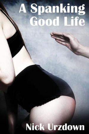 Cover of the book A Spanking Good Life by Jerry Lien