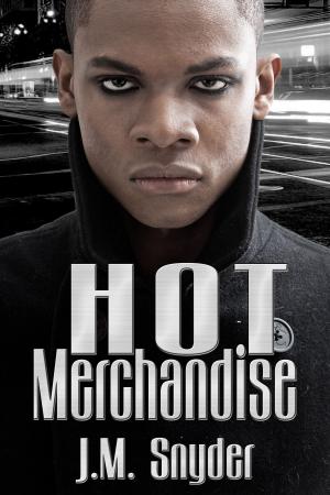 Cover of the book Hot Merchandise by Lisa Gray