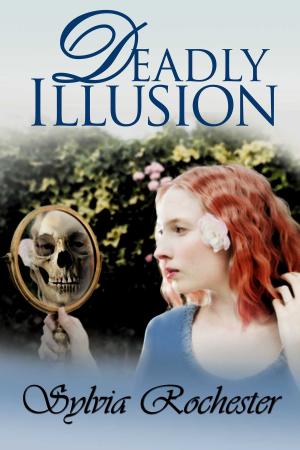 Cover of the book Deadly Illusion by Krista Janssen