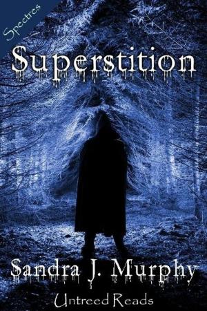 Cover of the book Superstition by J.R. Lindermuth