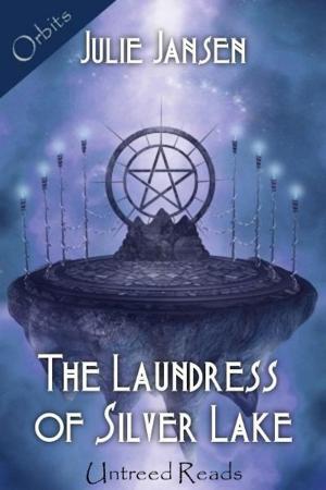 Cover of the book The Laundress of Silver Lake by Andrew Sarewitz