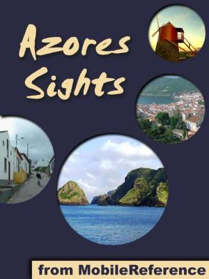 Book cover of Azores Sights (São Miguel Island): a travel guide to the top 20 attractions in São Miguel (Sao Miguel, Saint Michael), Azores, Portugal (Mobi Sights)
