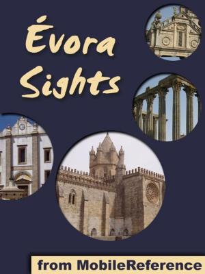 Book cover of Evora Sights: a travel guide to the top 20 attractions in Évora, Alentejo, Portugal (Mobi Sights)