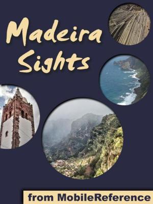 Book cover of Madeira Sights: a travel guide to the top 20 attractions in Madeira Island, Portugal (Mobi Sights)