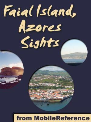 Cover of the book Azores Sights (Faial Island): a travel guide to the top 20 attractions in Faial, Azores, Portugal (Mobi Sights) by Giacomo Casanova, Arthur Machen (Translator)