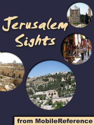 Book cover of Jerusalem Sights: a travel guide to the top 30 attractions in Jerusalem, Israel. Includes detailed tourist information about the Old City (Mobi Sights)