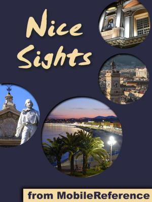 Book cover of Nice Sights: a travel guide to the top 15 attractions in Nice, France (Mobi Sights)