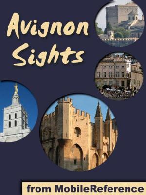 Cover of the book Avignon Sights: a travel guide to the top 15 attractions in Avignon, France (Mobi Sights) by MobileReference