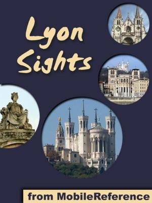 Book cover of Lyon Sights: a travel guide to the top 20+ attractions in Lyon, France (Mobi Sights)
