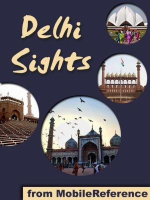 bigCover of the book Delhi Sights: a travel guide to the top 25+ attractions in Delhi, India (Mobi Sights) by 