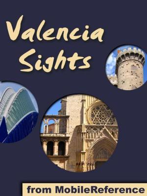 Book cover of Valencia Sights: a travel guide to the top 15 attractions in Valencia, Spain (Mobi Sights)