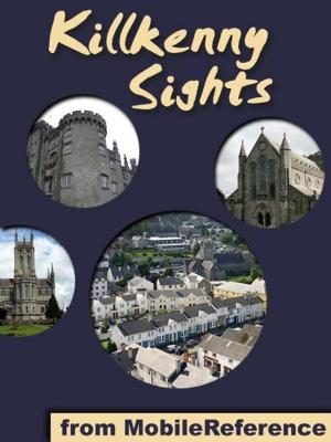 bigCover of the book Kilkenny Sights: a travel guide to the top 20 attractions in Kilkenny, Ireland (Mobi Sights) by 
