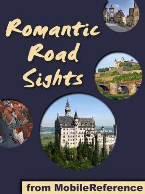Book cover of Germany's Romantic Road: a travel guide to the top 30+ towns and attraction along the Romantic Road in Germany (Mobi Sights)