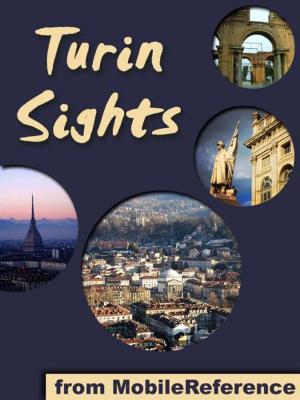 Cover of Turin Sights: a travel guide to the top attractions in Turin, Italy (Mobi Sights)