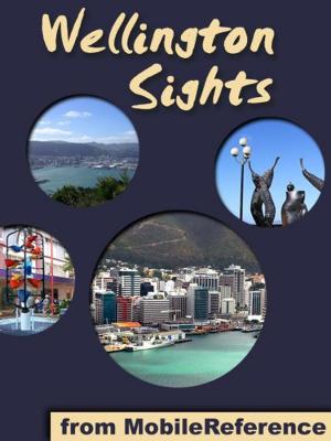 Cover of the book Wellington Sights: a travel guide to the top attractions in Wellington, New Zealand (Mobi Sights) by Baroness Orczy