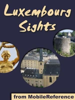 Book cover of Luxembourg Sights: a travel guide to the top 20 attractions in Luxembourg City (Mobi Sights)