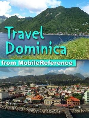 Book cover of Travel Dominica: an illustrated travel guide to the Island of Dominica, Caribbean (Mobi Travel)