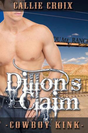 Cover of the book Dillon's Claim by Brenda  Sparks